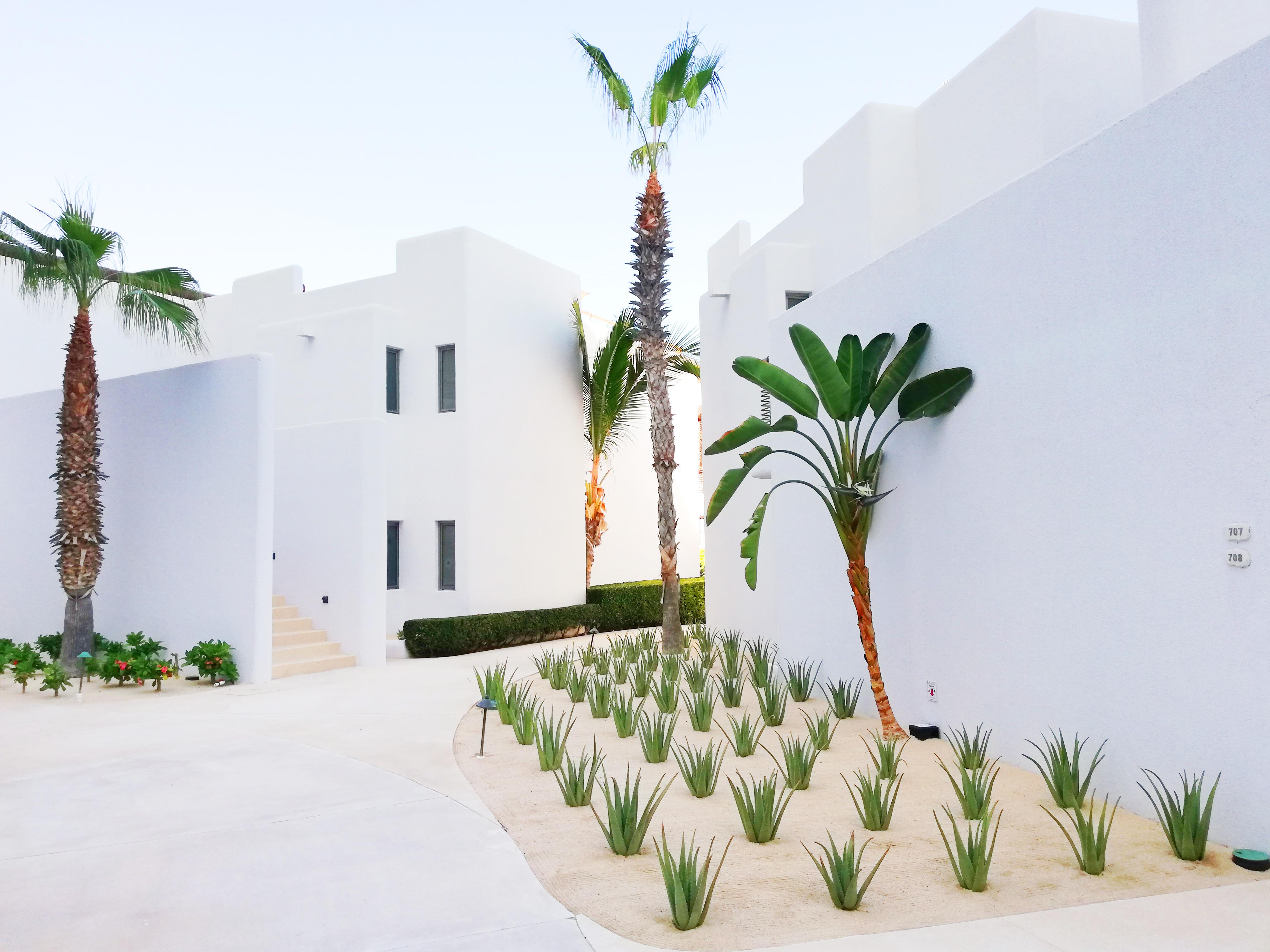 Marquis Los Cabos, An All - Inclusive, Adults - Only & No Timeshare Resort San José del Cabo Kültér fotó